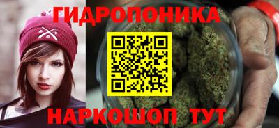 гидропоника Заводоуковск