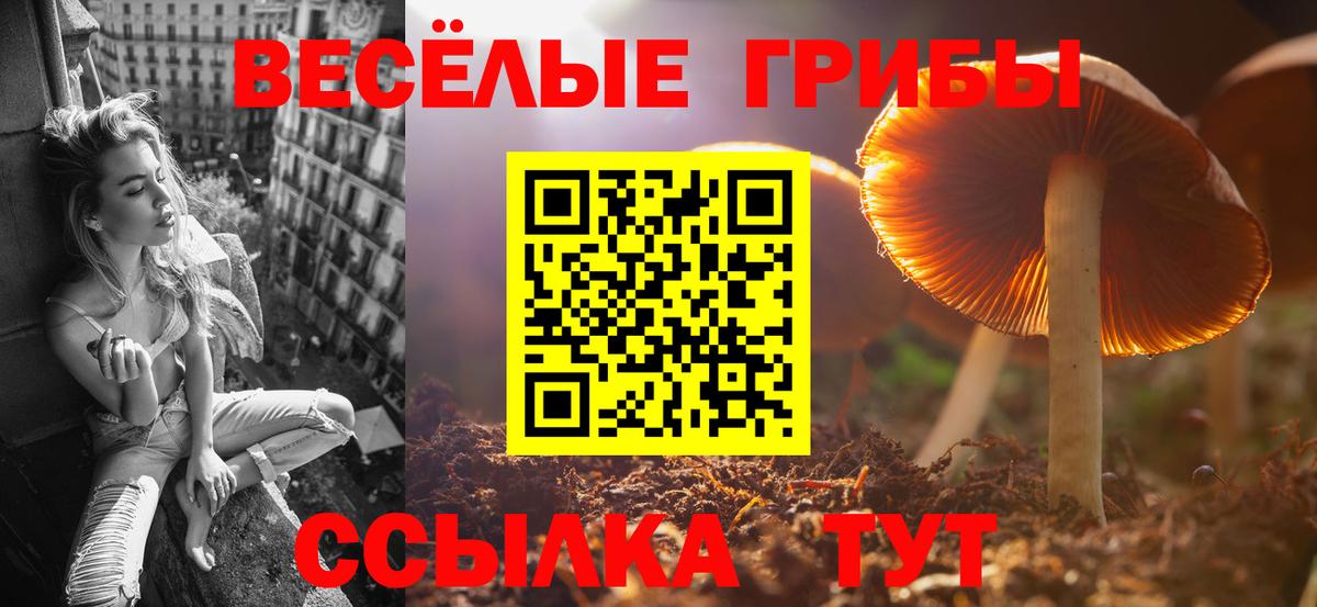 Псилоцибиновые грибы мухоморы  Вход с VPN  Михайловск  Галлюциногенные грибы Psilocybe 